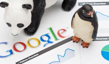 What are Google Panda and Penguin?