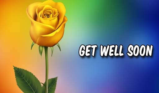 Some Delightful Get Well Soon Flowers With Positive Vibe - MindStick