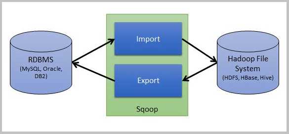 Data Import/Export Important Practice in Database image