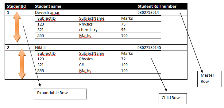 Expandable and Collapsible Rows in Datagrid in C# Winforms - MindStick