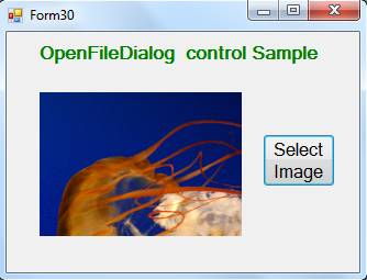 OpenFileDialog Control In VB.Net - MindStick